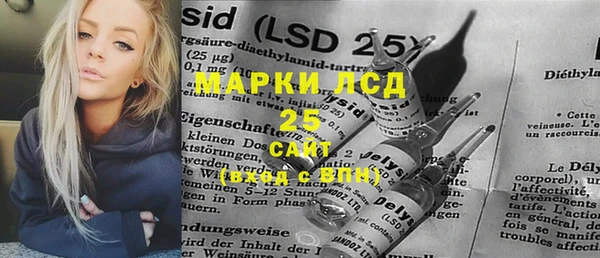 прущий лед Алзамай