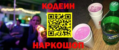 мдпв Камышлов
