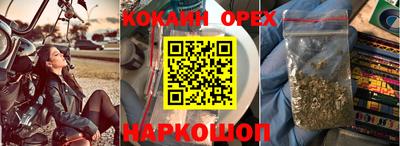 мдпв Камышлов