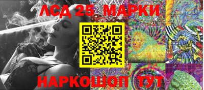 амф Кандалакша