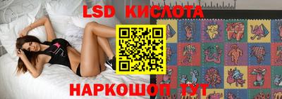 мдпв Камышлов
