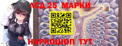 амф Кандалакша