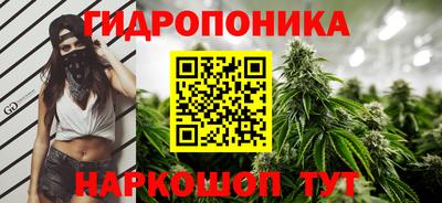 амф Кандалакша