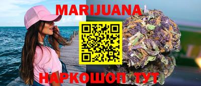 мдпв Камышлов