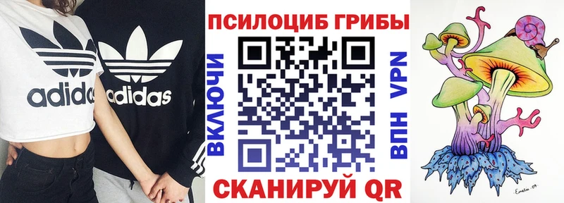 Псилоцибиновые грибы MAGIC MUSHROOMS  Луга 