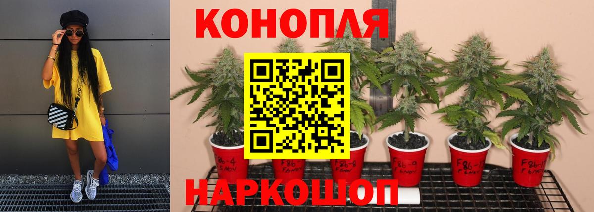 Луга  Бошки марихуана план  Каннабис Amnesia  Вход с VPN 